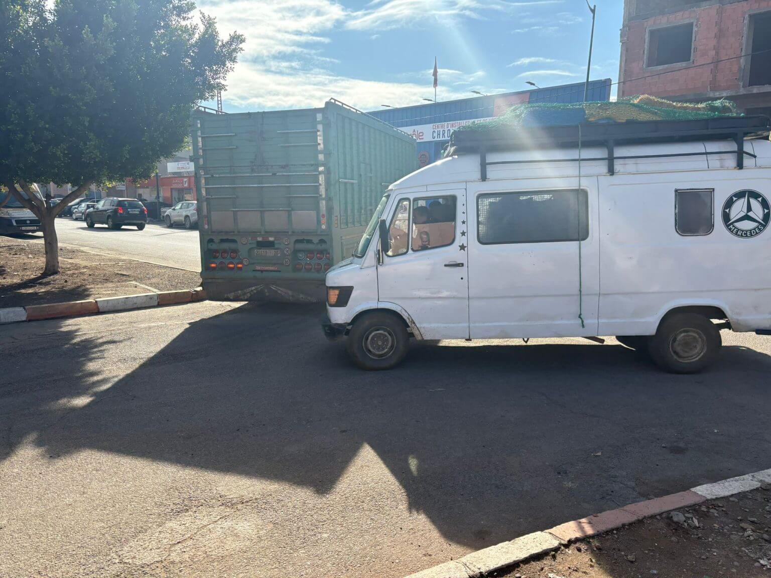 开云手机入口-TA：为筹备2030年世界杯，摩洛哥正在全国范围内扑杀流浪狗